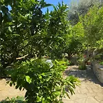 Tatil Evi Arya's House