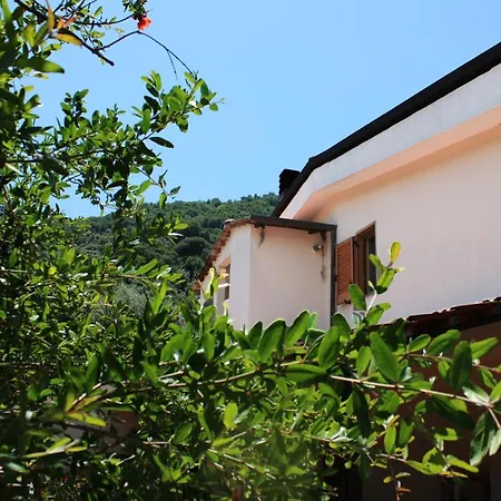 Arya's House Tatil Evi *