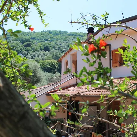 Tatil Evi Arya's House