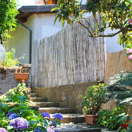 度假居 Arya's House *