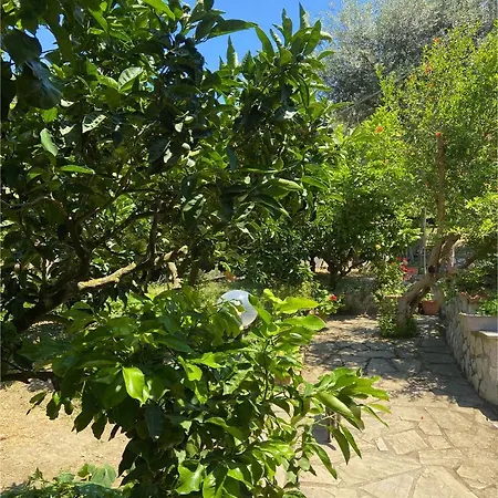 Tatil Evi Arya's House